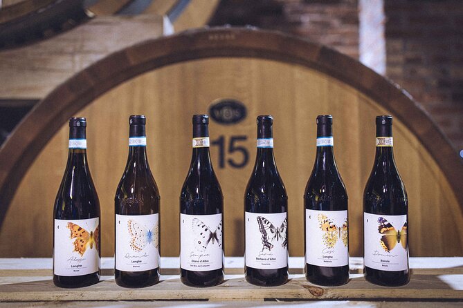 Organic Wine Tasting in the Langhe Hills – Vineyard & Cellar Tour - A Small Organic Winery Above the Langhe Vineyards