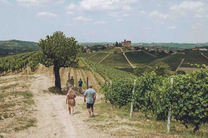 Organic Wine Tasting in the Langhe Hills – Vineyard & Cellar Tour - Cancellation and Planning Notes