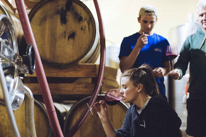 Organic Wine Tasting in the Langhe Hills – Vineyard & Cellar Tour - Starting Among the Rows of Vines