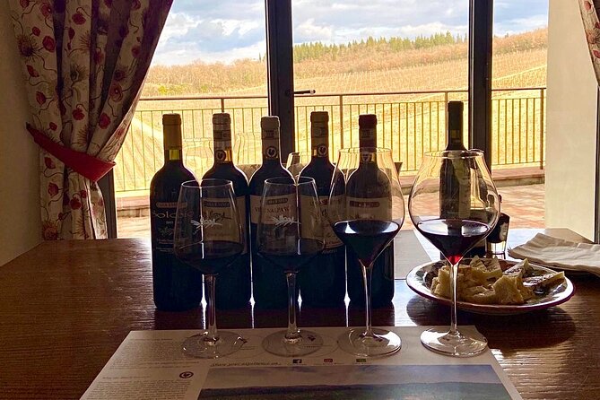 Organic Wine Tour&Tasting overlooking Chianti Classico Vineyards - Casa Emma puts the vineyard first