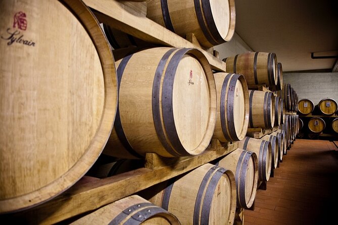 Organic Wine Tour&Tasting overlooking Chianti Classico Vineyards - A short visit with a useful group size