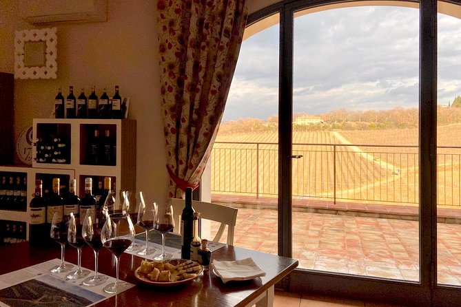 Organic Wine Tour&Tasting overlooking Chianti Classico Vineyards - Who will enjoy Casa Emma most?