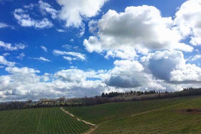 Organic Wine Tour&Tasting overlooking Chianti Classico Vineyards - Practical details that affect your decision