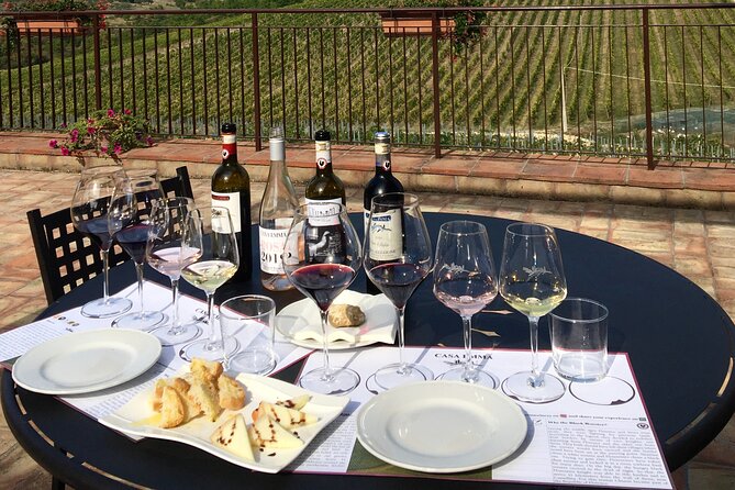 Organic Wine Tour&Tasting overlooking Chianti Classico Vineyards - What happens inside the cellar