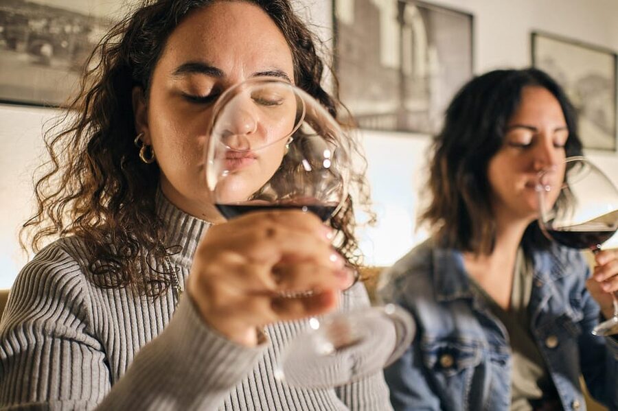 Organic Winery Visit near Turin with Wine & Food Tasting - Key points to know before booking
