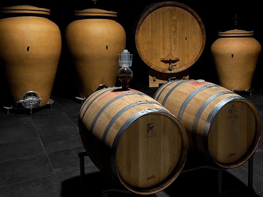 Organic Winery Visit near Turin with Wine & Food Tasting - Why this winery visit feels different from a standard tasting