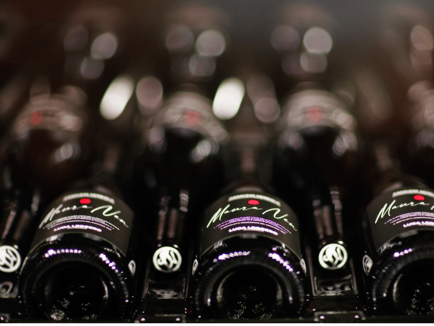 Organic Winery Visit near Turin with Wine & Food Tasting - The 30-minute vineyard walk