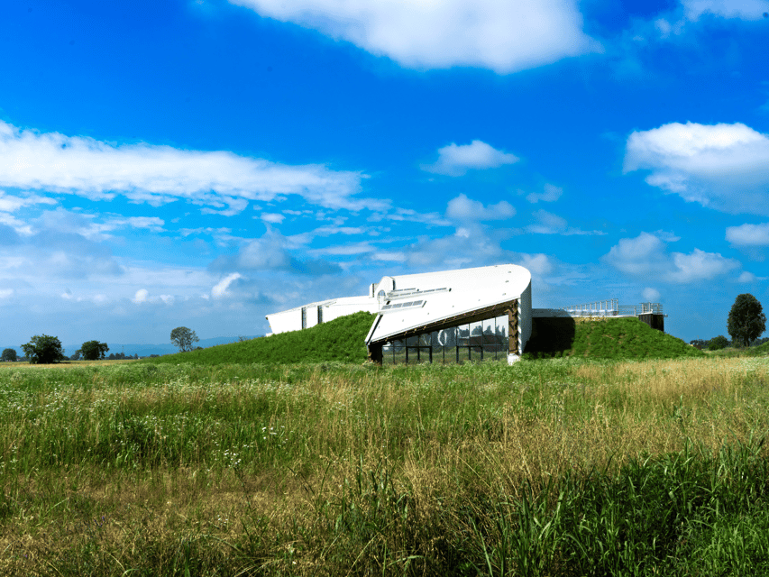 Organic Winery Visit near Turin with Wine & Food Tasting - Who will enjoy this two-hour visit