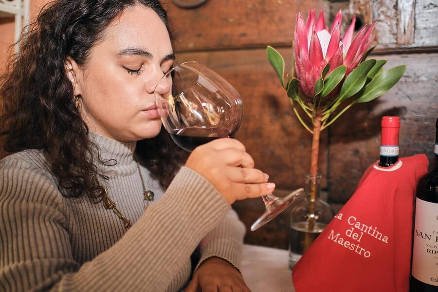 Organic Winery Visit near Turin with Wine & Food Tasting - Should you book this winery visit?