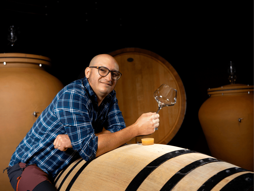 Organic Winery Visit near Turin with Wine & Food Tasting - The 45-minute tour through production and cellar rooms