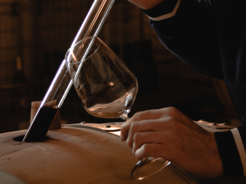 Organic Winery Visit & Wine Tasting with Food in Pavia - Finding La Piotta Near Montalto Pavese