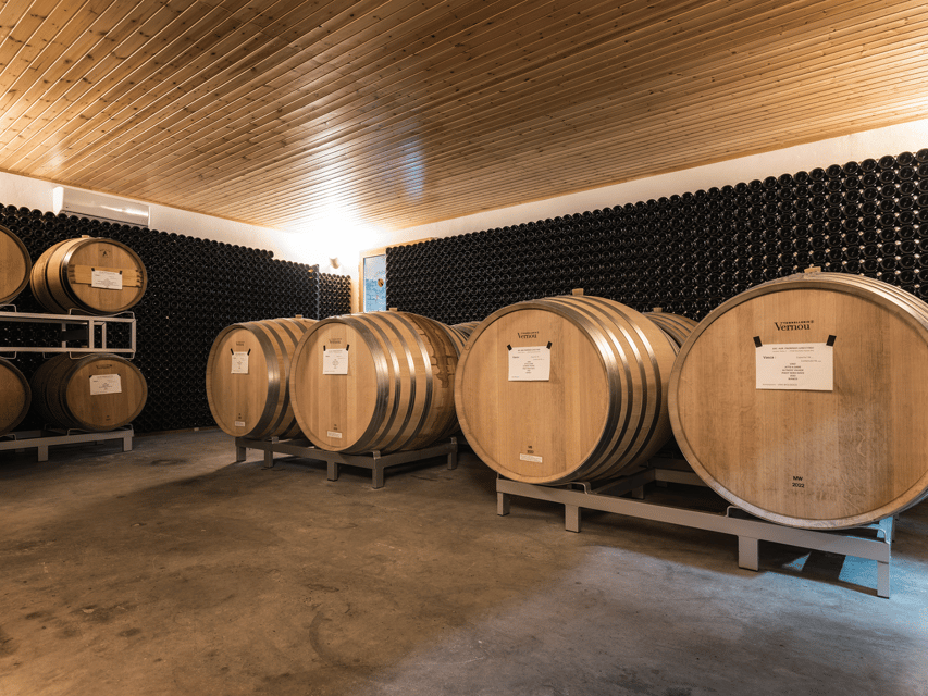Organic Winery Visit & Wine Tasting with Food in Pavia - Seeing the Oak Barrels and Aging Red Wine