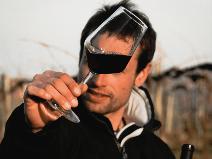 Organic Winery Visit & Wine Tasting with Food in Pavia - Should You Book La Piotta?