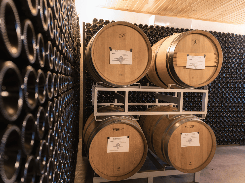 Organic Winery Visit & Wine Tasting with Food in Pavia - The 15-Minute Organic Vineyard Walk