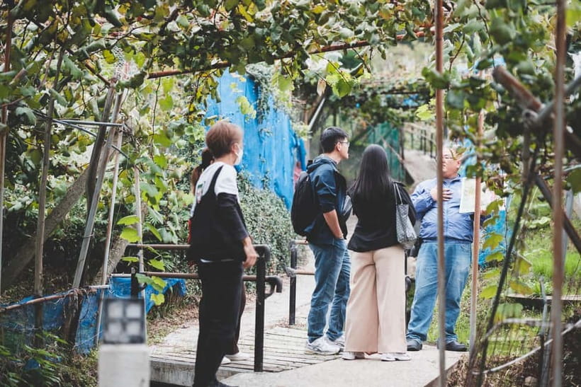 Osaka Winery Tour with Wine Tasting & Vineyard Walk - Timing, flexibility, and what to bring