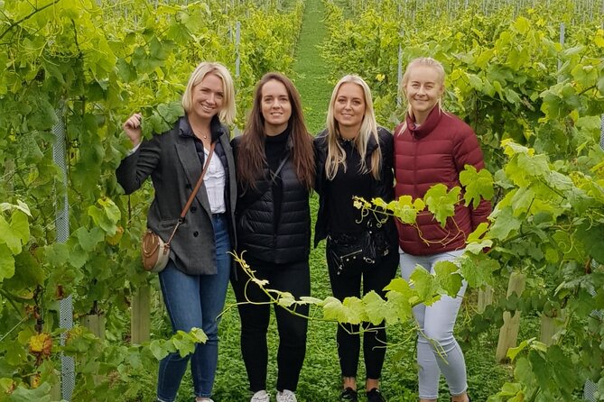 Owners vineyard tour and tasting at Oastbrook - Starting among the vines at Oastbrook