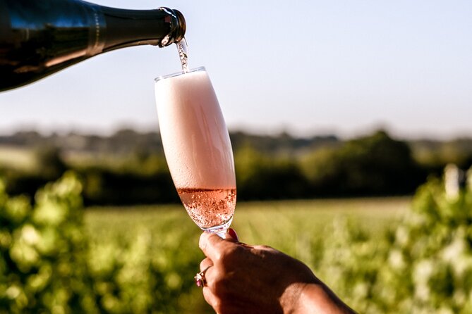 Owners vineyard tour and tasting at Oastbrook - Why the private format changes the experience
