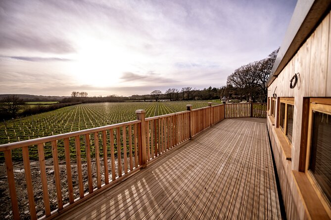 Owners vineyard tour and tasting at Oastbrook - Who should book this Oastbrook visit?
