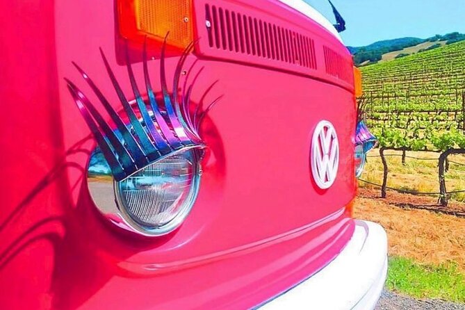 Painted Ladies Wine Country Tour - Who should book this Sonoma day trip