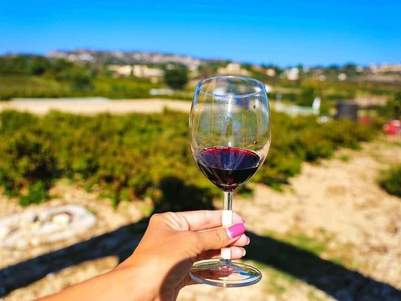 Paphos: Wine Tour – Vineyards, Tastings & Scenic Views - Key points at a glance