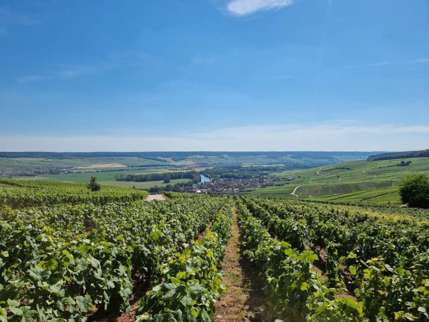 Paris: Private Epernay Trip with Champagne Vineyard Tastings - Lunch in Épernay, with time to reset