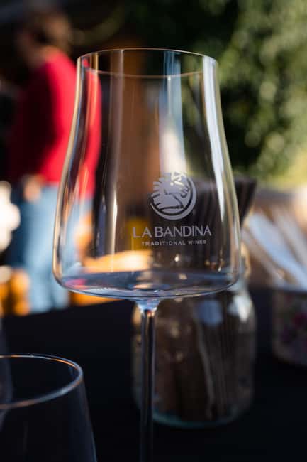 Parma: Visit the Vineyard and Taste 5 Local Wines - Five wines made in the traditional Emilian method