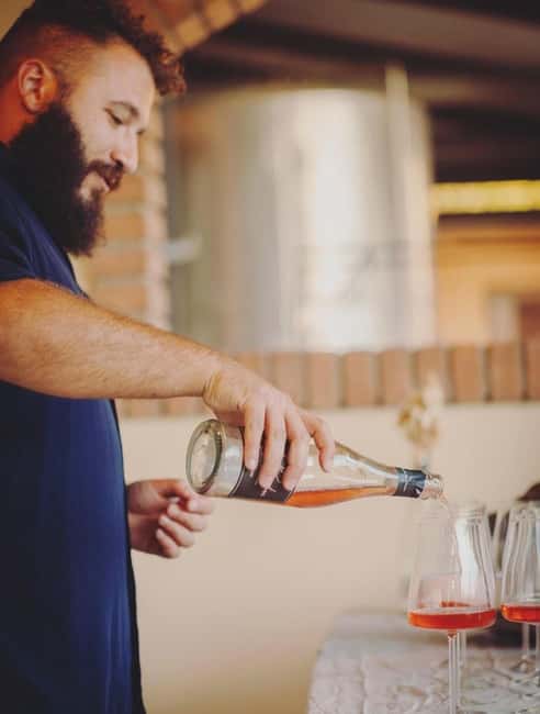 Parma: Visit the Vineyard and Taste 5 Local Wines - Why the $29 price makes sense