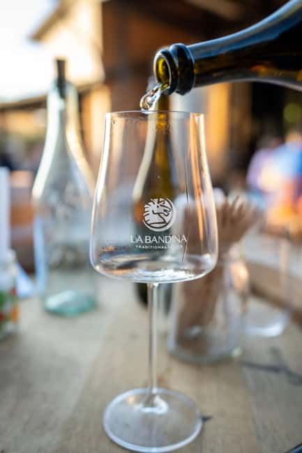 Parma: Visit the Vineyard and Taste 5 Local Wines - The practical shape of the visit