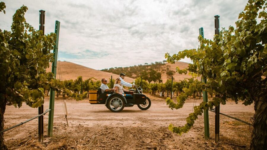 Paso Robles: Scenic Sidecar Vineyard Tour - Should You Book the Paso Robles Sidecar Tour?