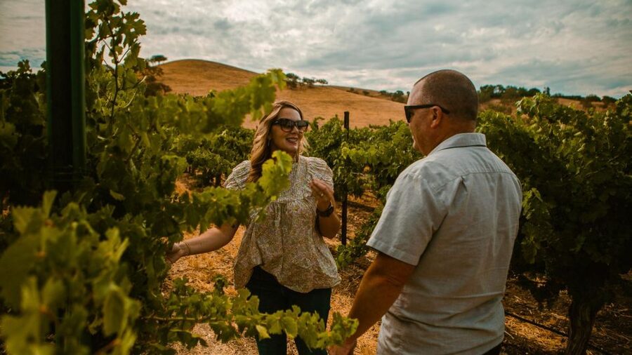 Paso Robles: Scenic Sidecar Vineyard Tour - Fifty-Five Minutes Through Paso Robles Wine Country