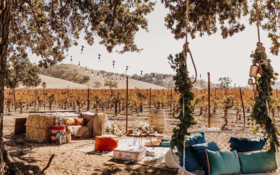 Paso Robles: Sunset at the Vineyards Sidecar Wine Adventure - What the $150 price includes