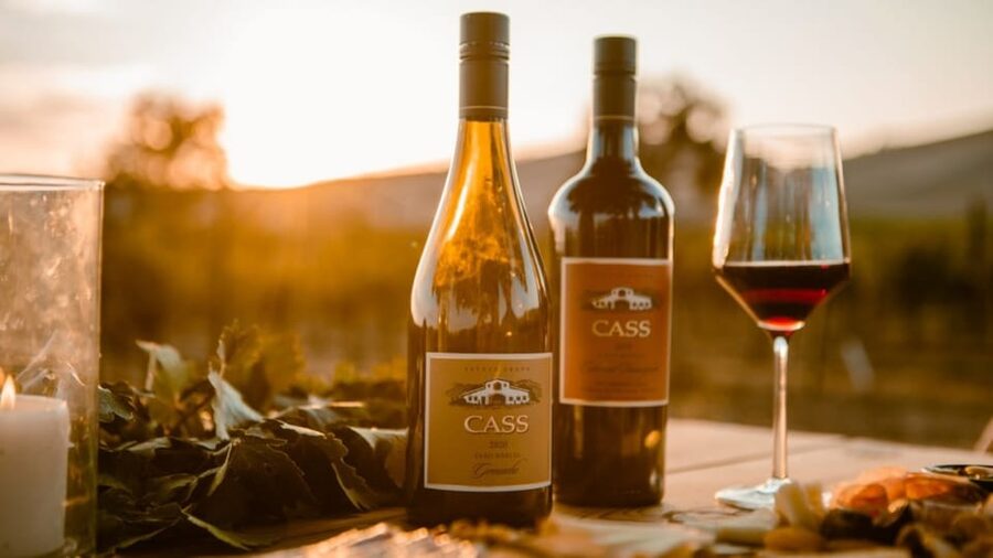 Paso Robles: Vineyard Rides Wine Adventure - Who Will Enjoy This Most?