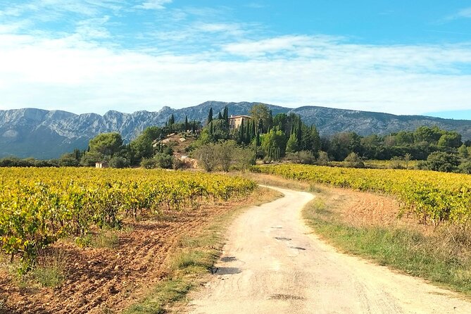 Peaceful Countryside Day : Vineyards, Food & Villages - Puyloubier: Pétanque, Snacks, and Village Character