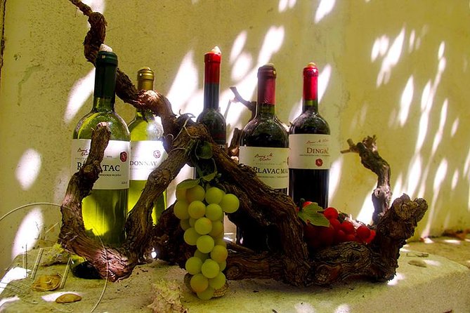 Peljesac Vineyards & Oysters - Private Day Trip from Dubrovnik-Mercedes Vehicle - From Dubrovnik to Ston, a useful first outing