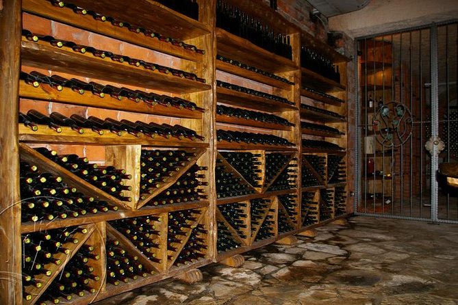 Peljesac Vineyards & Oysters - Private Day Trip from Dubrovnik-Mercedes Vehicle - What the private Mercedes setup really adds
