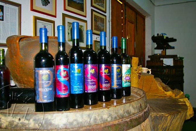 Peljesac Vineyards & Oysters - Private Day Trip from Dubrovnik-Mercedes Vehicle - Timing, comfort, and practical planning