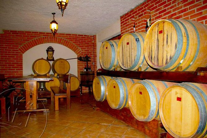 Peljesac Vineyards & Oysters - Private Day Trip from Dubrovnik-Mercedes Vehicle - Ston’s walls and salt flats in 30 minutes