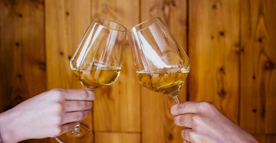 Pelješac wine tasting and local winery visit - Key points to know before booking