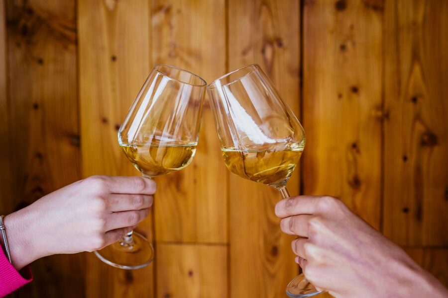 Pelješac wine tasting and local winery visit - Why Pelješac is called Croatia’s Empire of Wine