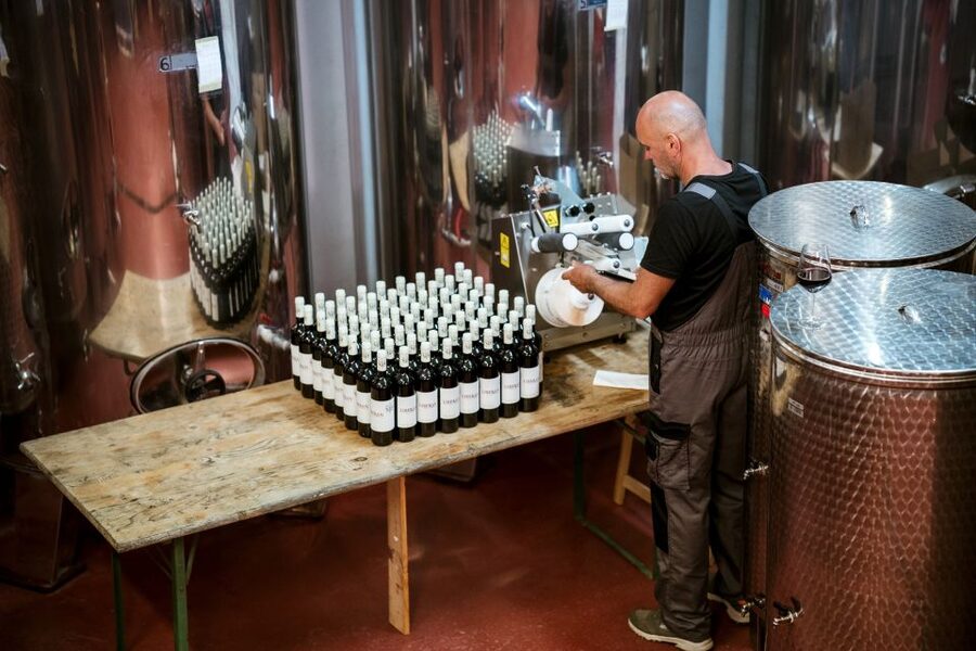 Pelješac wine tasting and local winery visit - Seeing the production area before the tasting