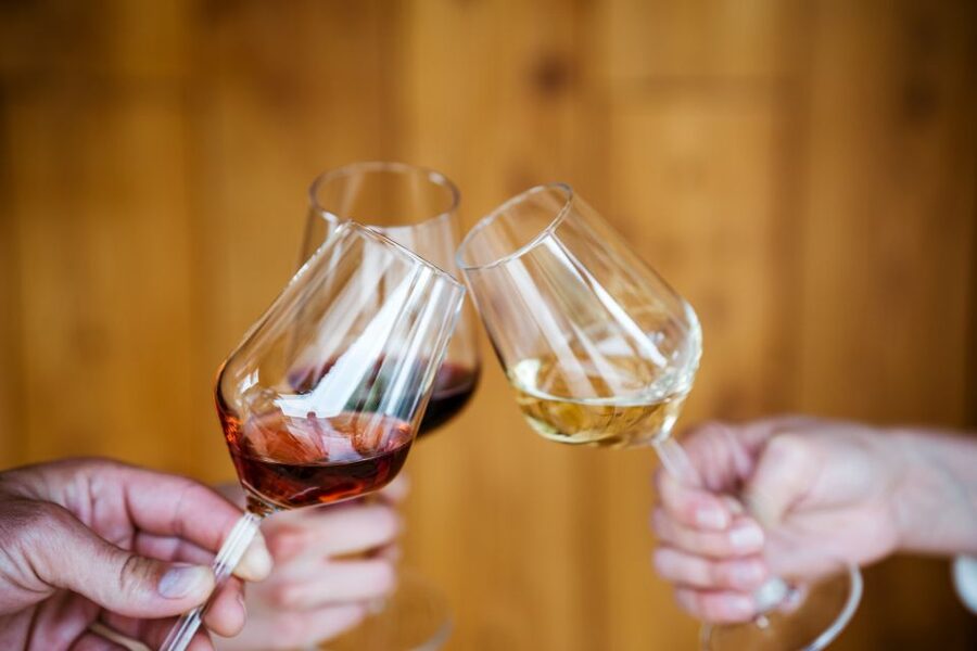 Pelješac wine tasting and local winery visit - Four wines, fruit liqueurs, and a possible extra pour