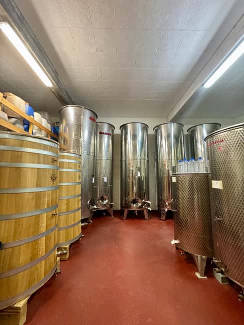 Pelješac wine tasting and local winery visit - Local food makes the tasting feel complete