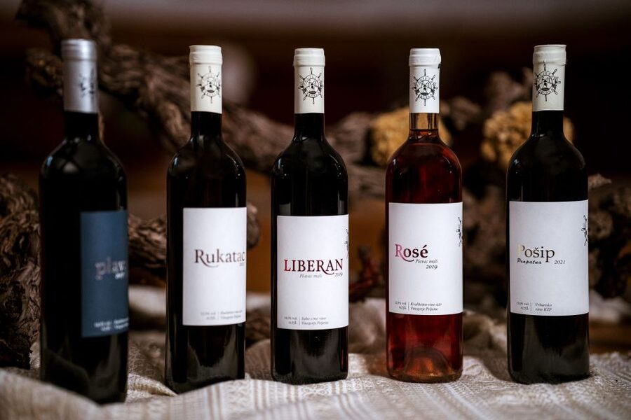 Pelješac wine tasting and local winery visit - What the $43 price buys you