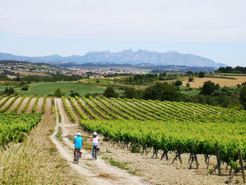 Penedès/BCN: Self-Guided eBike Tour with guided Winery Visit - Why Penedès works so well as a day trip