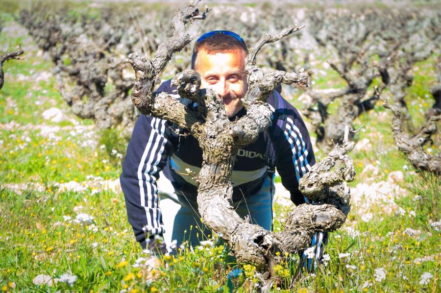 Penedès/BCN: Self-Guided eBike Tour with guided Winery Visit - Getting your bike and finding the route
