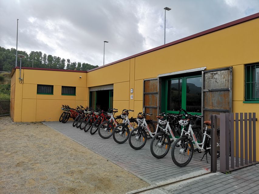 Penedès/BCN: Self-Guided eBike Tour with guided Winery Visit - The family winery visit and cava tasting