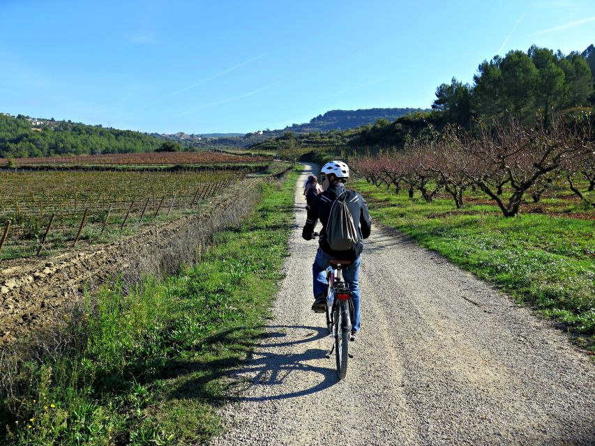 Penedès/BCN: Self-Guided eBike Tour with guided Winery Visit - Returning by bike at your own pace