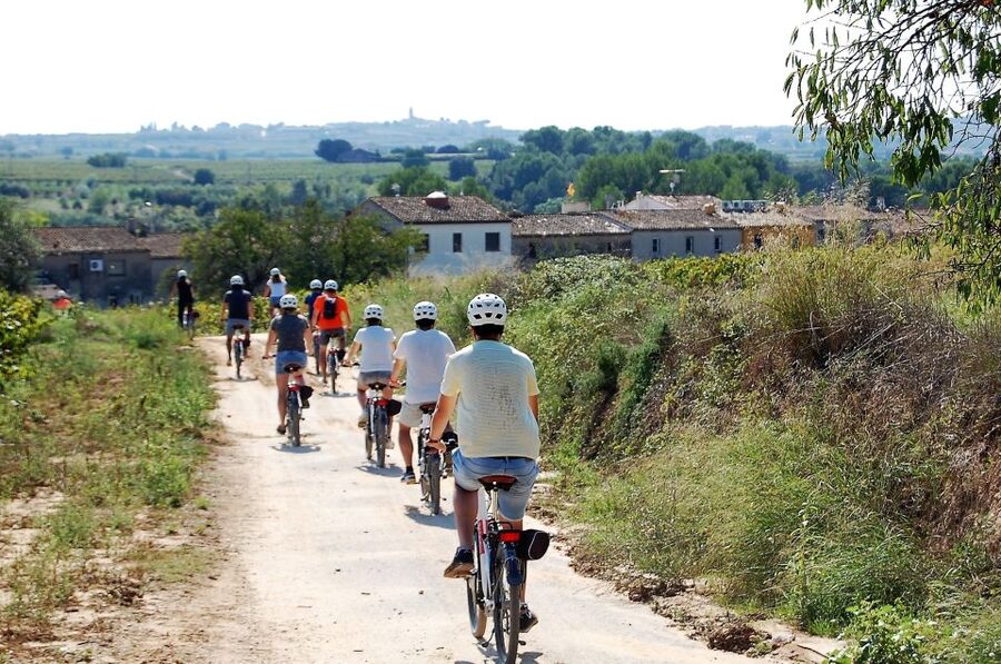 Penedès/BCN: Self-Guided eBike Tour with guided Winery Visit - Who will enjoy this outing most