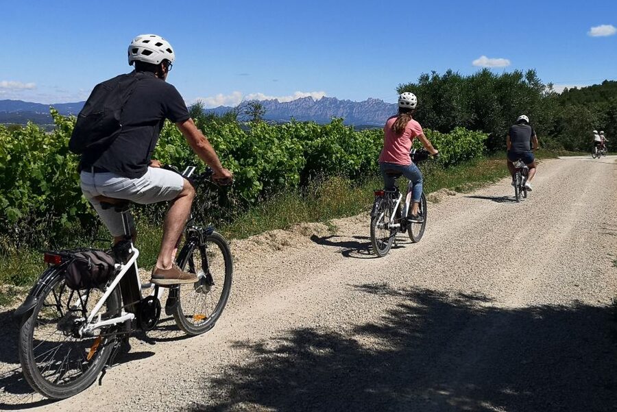 Penedès/BCN: Self-Guided eBike Tour with guided Winery Visit - Is the Penedès eBike tour worth booking?