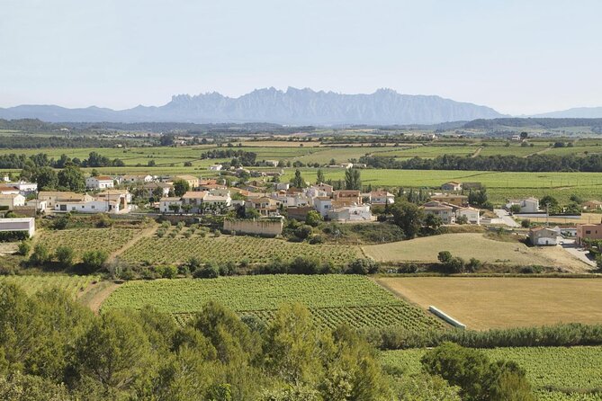Penedes Wine & Cava Tasting & 4WD Vineyards Tour from Barcelona - Key points before you book